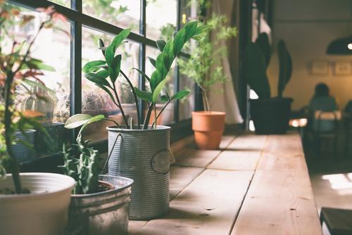 6 Scandinavian Home Design Blogs for Inspiration
