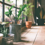 6 Scandinavian Home Design Blogs for Inspiration