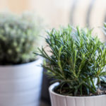 Fresh Ways to Brighten Your Home Decor This Spring