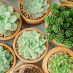 5 Home Design Trends for 2019